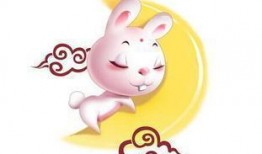 属兔最新爆料,揭秘生肖兔的神秘面纱