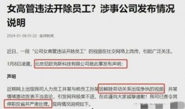 天涯爆料女高管名单最新,最新女高管名单曝光，行业风云再起