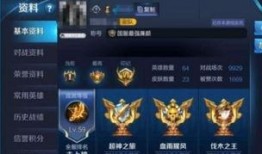 王者最新皮服爆料消息,全新皮服爆料，神秘英雄华丽登场！