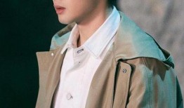 刘大锤最新爆料张彬彬,张彬彬神秘事件引关注